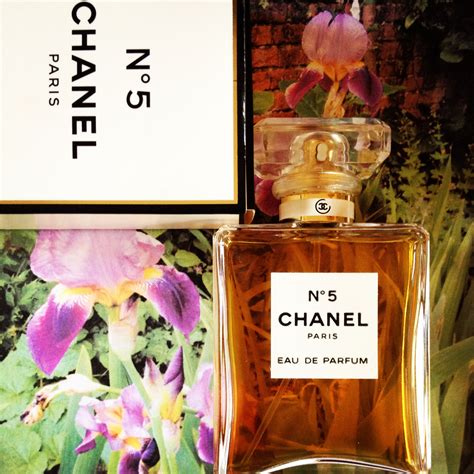 notes parfum chanel no5|Chanel no 5 perfume discount.